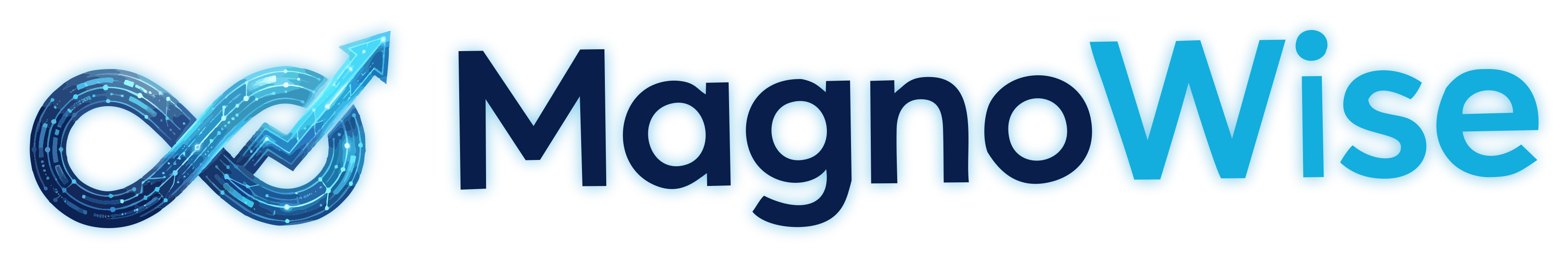 MagnoWise Logo